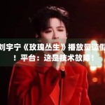 刘宇宁《玫瑰丛生》播放量造假！平台：这是技术故障！