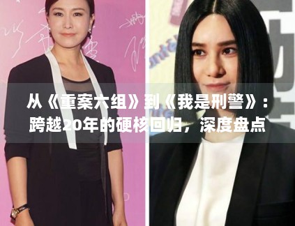 从《重案六组》到《我是刑警》:跨越20年的硬核回归,深度盘点国产刑侦剧的进化之路 从《重案六组》到《我是刑警》:跨越20年的硬核回归,深度盘点国产刑侦剧的进化之路
